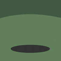 Football Penguin GIF by Pudgy Penguins