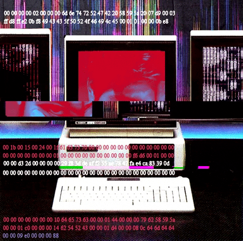 AlphaOziris giphygifmaker glitch vhs simulacion GIF