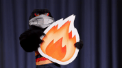 claude the crow GIF by Adelaide Crows