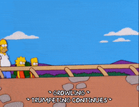 homer simpson GIF