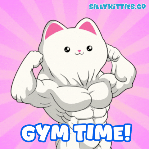 Cats Gym GIF by Silly Kitties