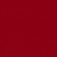 Go Cards Ls Up GIF by Louisville Cardinals