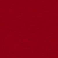 Celebration Flex GIF by Louisville Cardinals