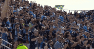 crowd stand for blue GIF by Philadelphia Union