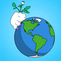 Go Green Climate Change GIF by Magic Eden