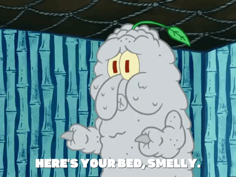 season 4 GIF by SpongeBob SquarePants