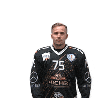 Sport Celebration GIF by HC Merano Pircher