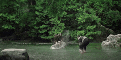 Elizabeth Olsen Eternity GIF by A24