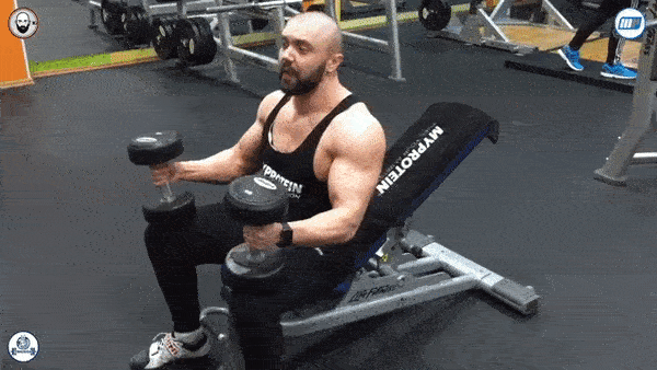 bodybuilding-and-fitness giphyupload zhim GIF