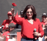 Rosa Flor GIF by RixiPresidenta