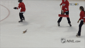 detroit red wings ice clean up GIF by NHL