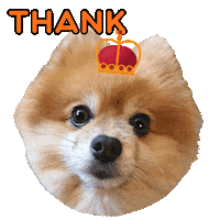 Giving Thanks Whizz Sticker