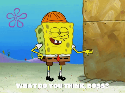season 7 greasy buffoons GIF by SpongeBob SquarePants