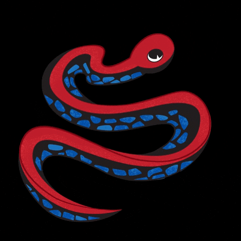 Snake GIF by Parks Conservancy