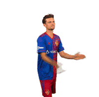 Superleague Stocker Sticker by FC Basel 1893