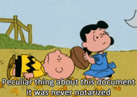 charlie brown lucy GIF by Maudit
