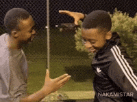 nakamistar meme sticker bro dap GIF