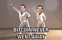 Twins Gemini GIF by Crypto GIFs & Memes ::: Crypto Marketing