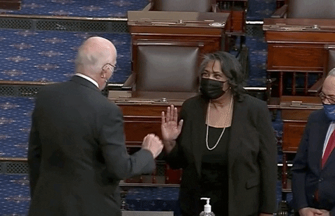 Sonceria Ann Berry GIF by GIPHY News