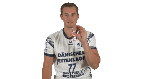Handball-Bundesliga Yes Sticker by LIQUI MOLY HBL