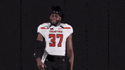 College Football Sport GIF by Texas Tech Football