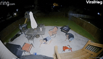 Ducking and Covering From the Sprinkler