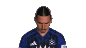Look Up Hamburger Sv Sticker by Bundesliga