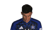 Look Up Hamburger Sv Sticker by Bundesliga