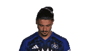Look Up Hamburger Sv Sticker by Bundesliga