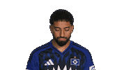 Look Up Hamburger Sv Sticker by Bundesliga