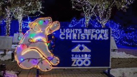 GIF by CstoneToledo