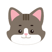 Cat 고양이 Sticker by Play-Curio