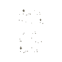 Stars Sparkle Sticker by Casa Luz Inc