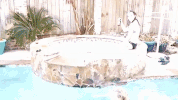 nola GIF by Johanna Kenney