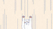 Cat Trick GIF by Juan Billy