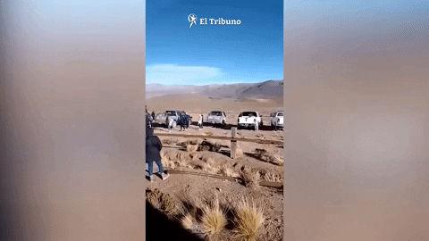ElTribuno giphyupload GIF