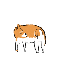 Excited Shiba Inu Sticker