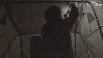 I Just Travelled To Have A Better Life