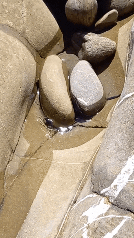 Simongip giphyupload GIF