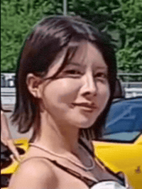 Model GIF