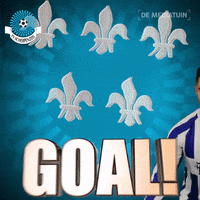 Voetbalvereniging_Scherpenzeel voetbal bal blauwwit hoofdklasse GIF