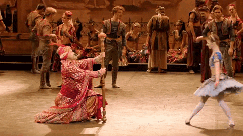 Enblecorsaire GIF by English National Ballet