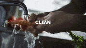 Hungry Food Poisoning GIF by safefood