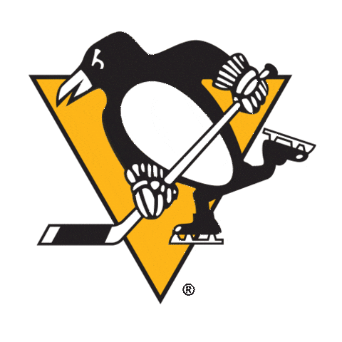 Happy Ice Hockey Sticker by NHL