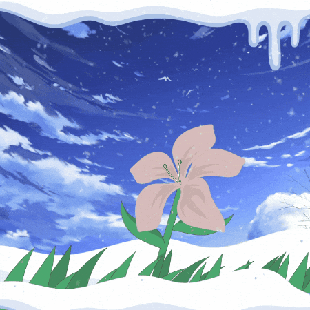 Bianco White Flower GIF