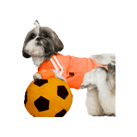 Dog Soccer Sticker by Avonturia