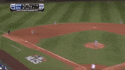big cat kfc GIF by Barstool Sports