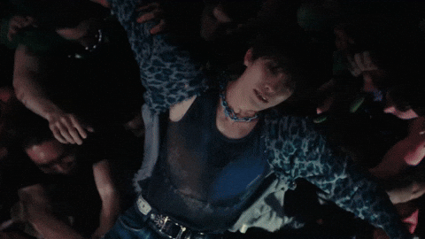 Lee Chan Dino GIF