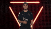 Proud Karlsruher Sc GIF by Bundesliga