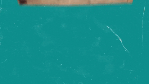 Credit Card Money GIF by PBS Digital Studios